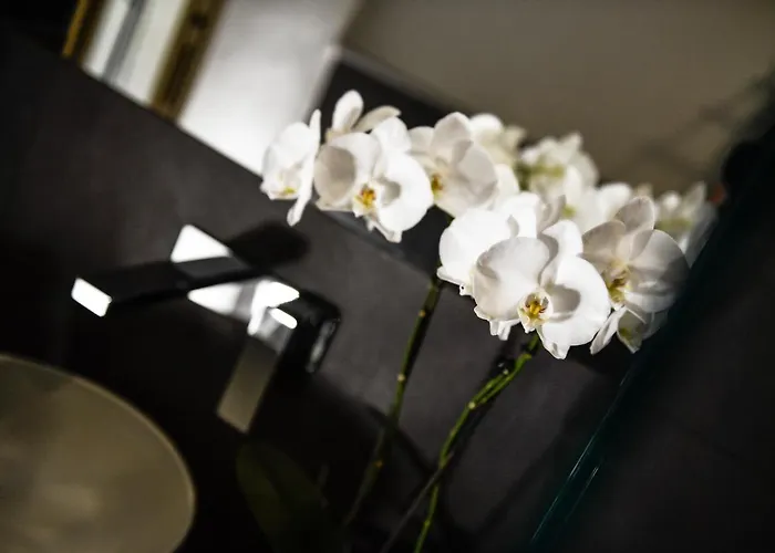 Ξενοδοχείο La Rosa